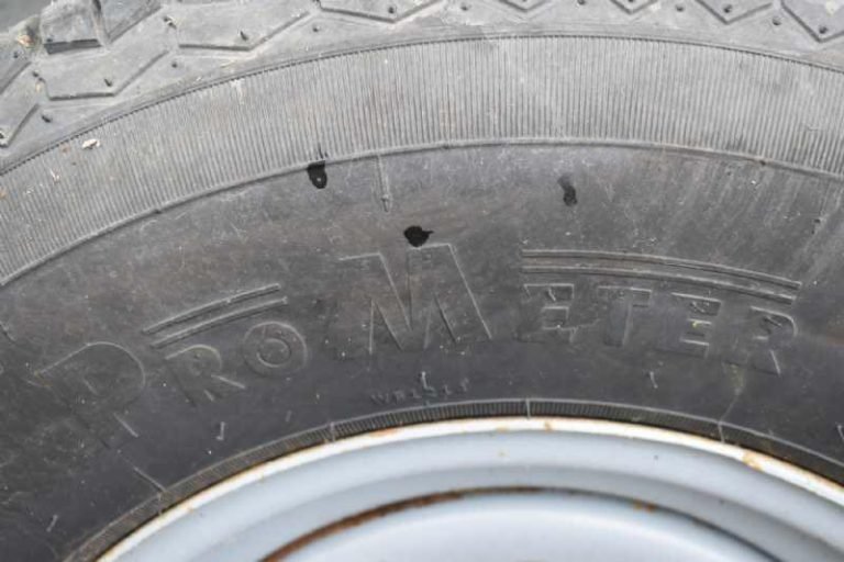 337557220_1196067951055282_5217692946057026664_n-768×512-1.jpg